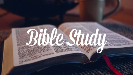 Bible Studies